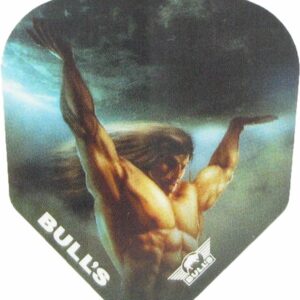Bull's Powerflight Champion N06 shape flights