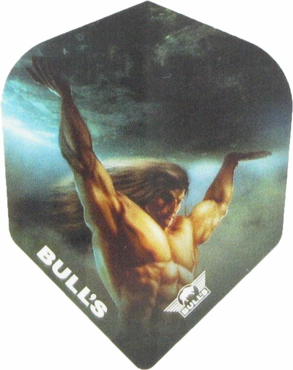 Bull's Powerflight Champion N06 shape flights