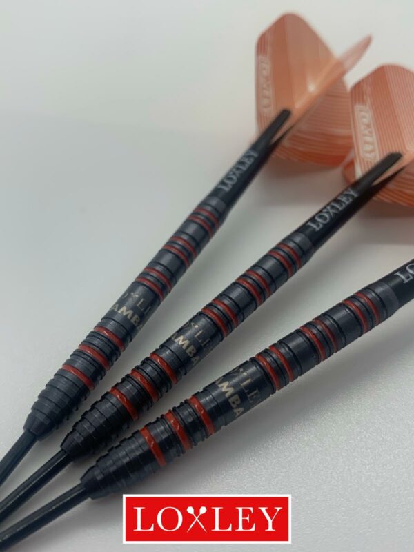 Loxley Bamba 23 gram darts