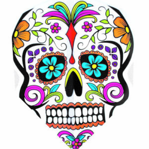 Harrows Quadro Candy Skull standaard flights
