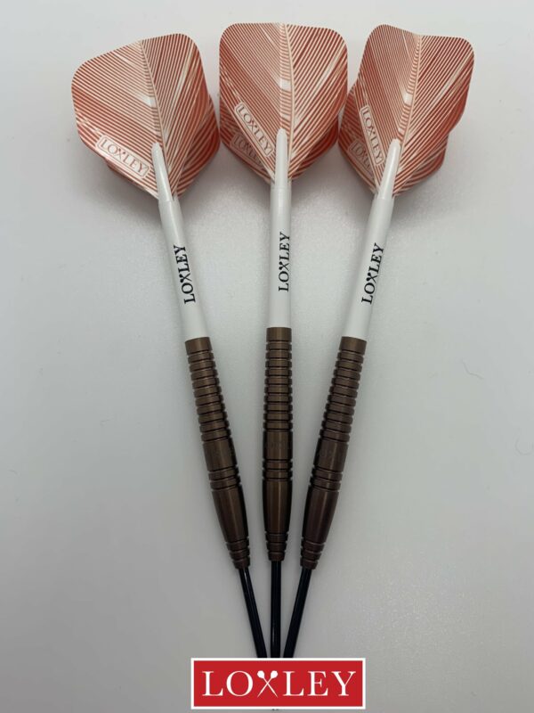 Loxley Tuck darts